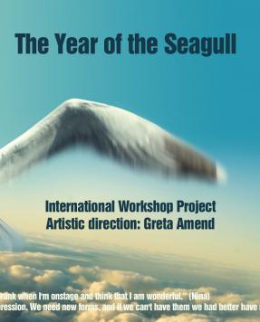 The Year of the Seagull - Greta Amend